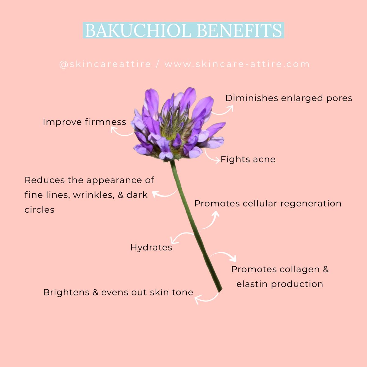 Bakuchiol Plumping Serum | EQQUALBERRY
