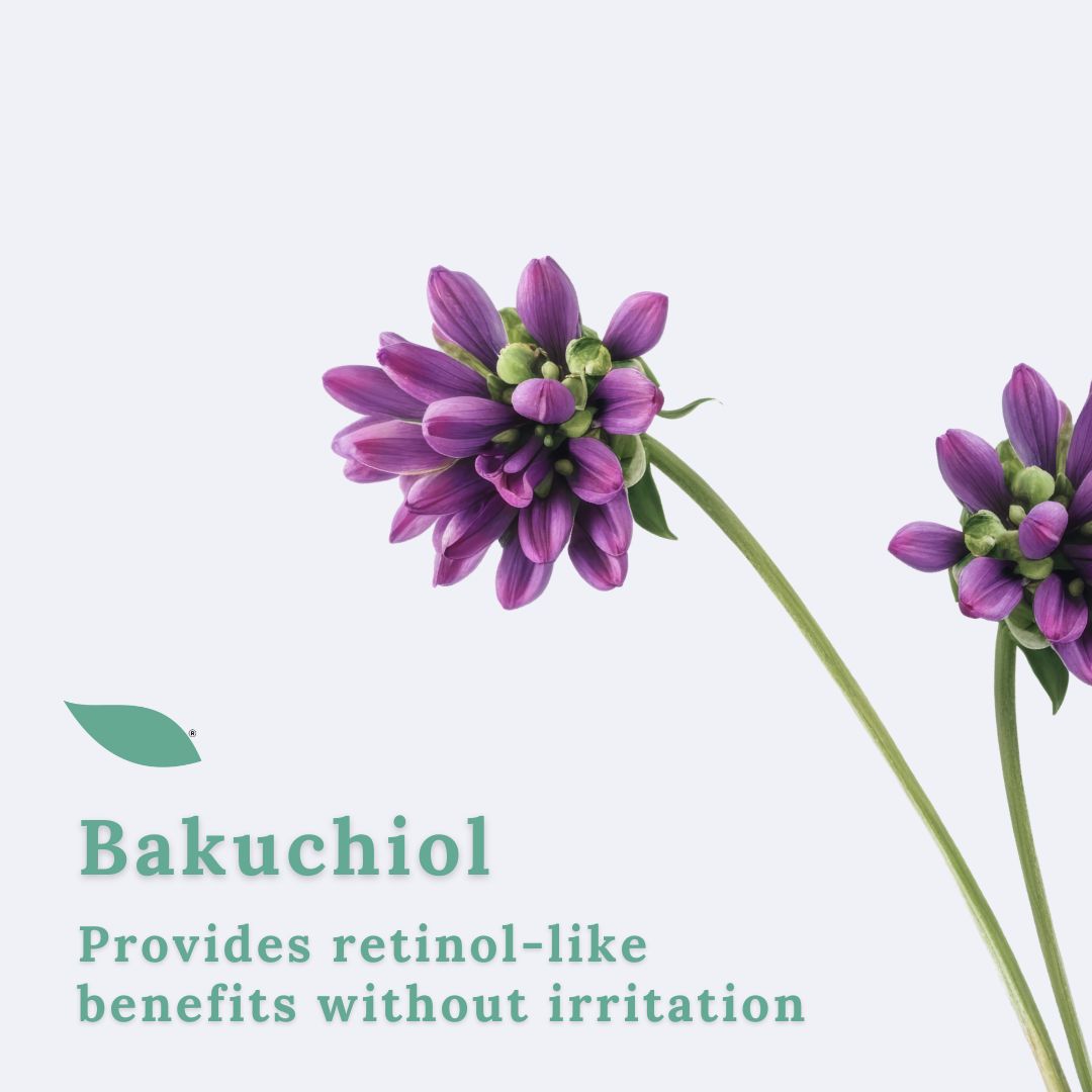 Bakuchiol Plumping Serum | EQQUALBERRY