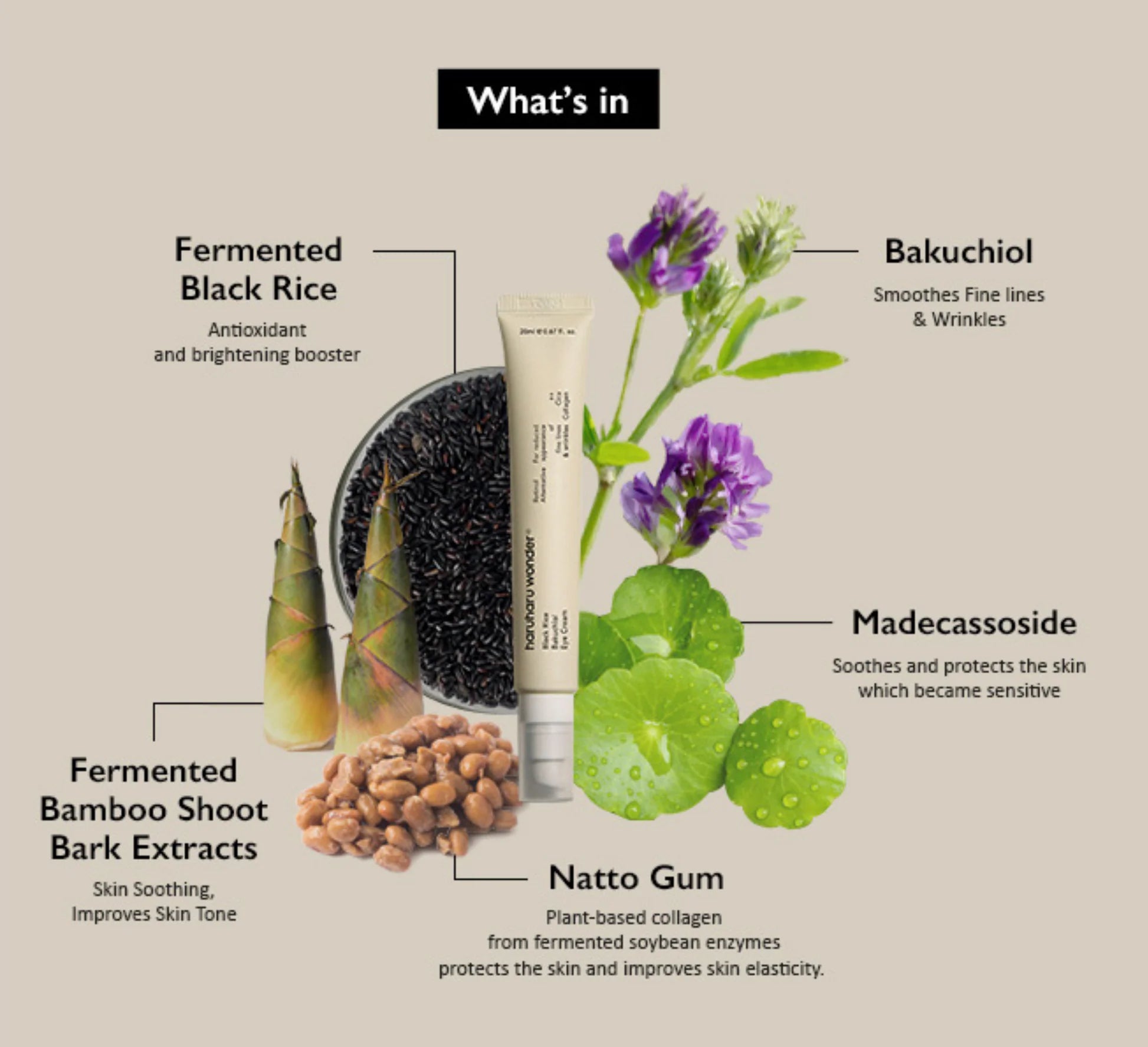 Black Rice Bakuchiol Eye-cream | haruharu كريم حول العين