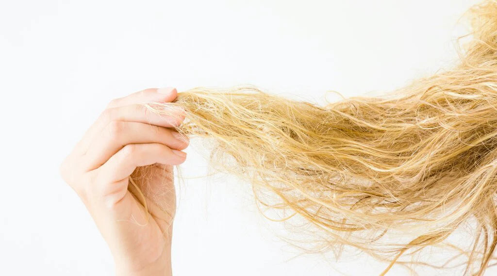 Nutri-filler booster keratin shampoo | Invidia شامبو للشعر التالف والهش