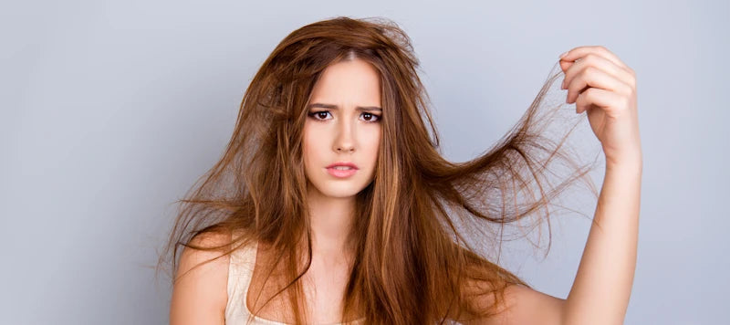 Nutri-filler booster keratin shampoo | Invidia شامبو للشعر التالف والهش