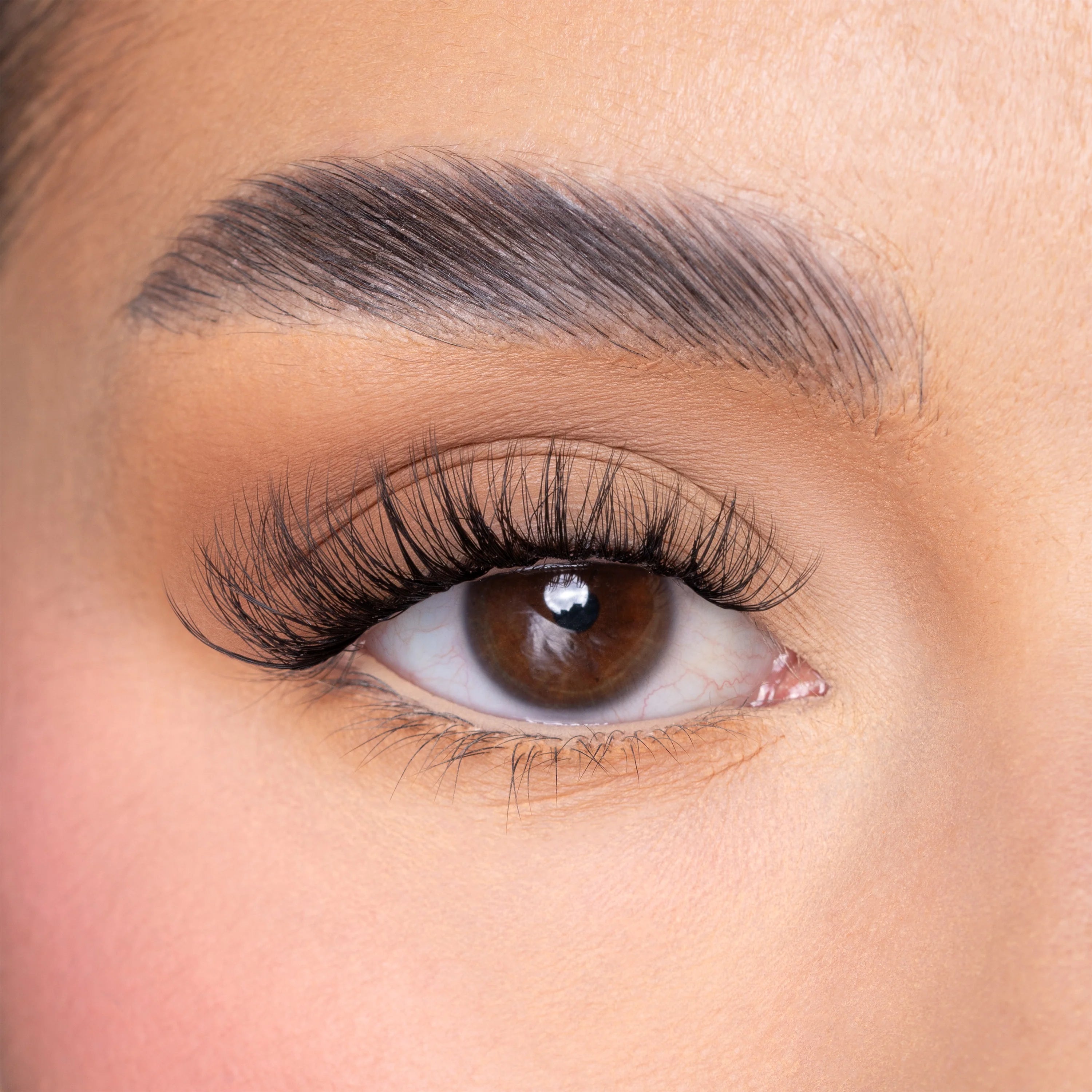 Volume Lash Extensionsوصلات رموش