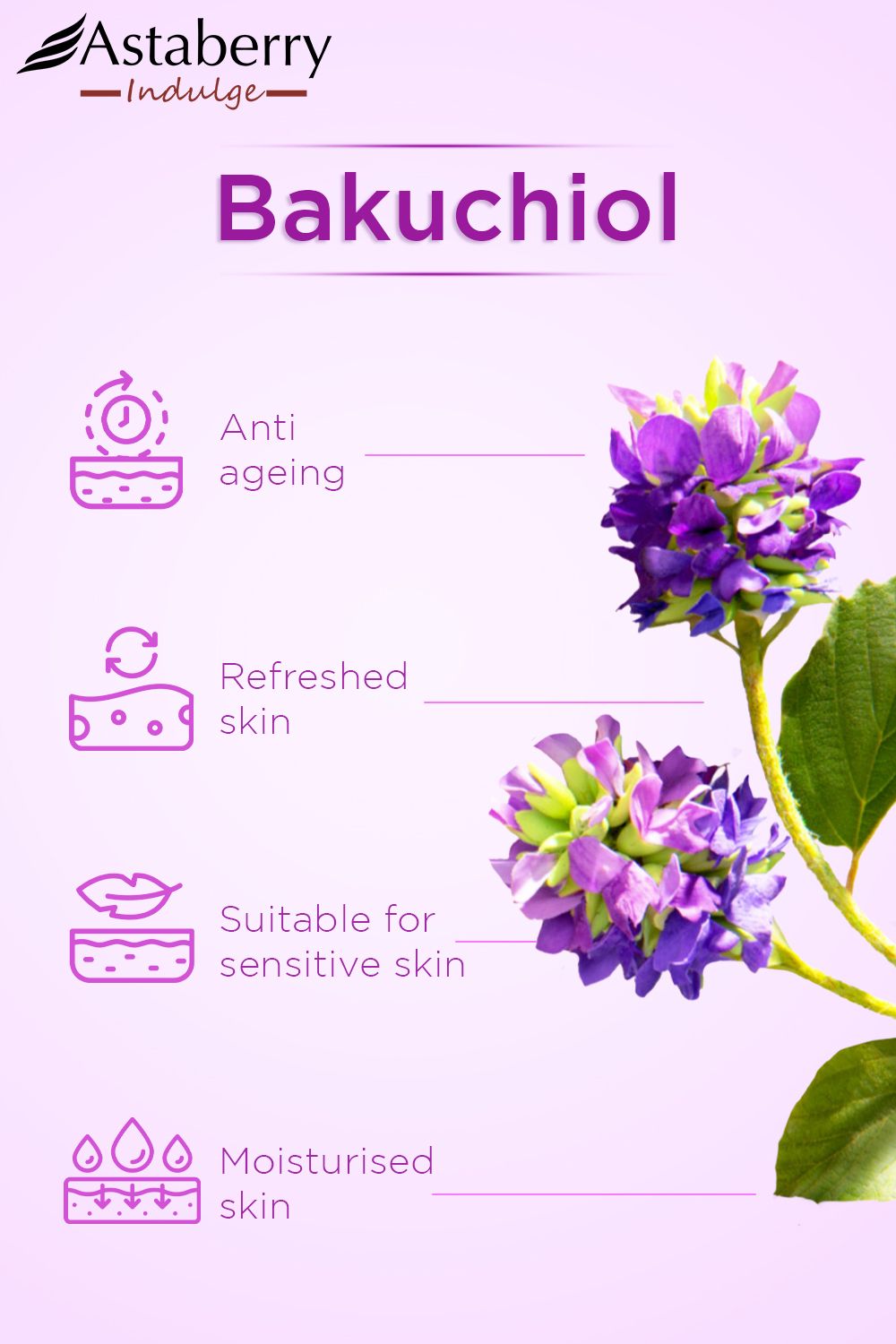 Bakuchiol Plumping Serum | EQQUALBERRY
